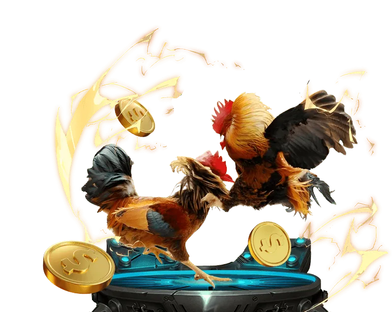 Sân Chơi Đá Gà Trực Tuyến MCW1188